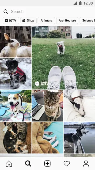 Instagram Pro apk