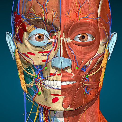 Anatomy Learning Mod Download Latest APK v2.1.371